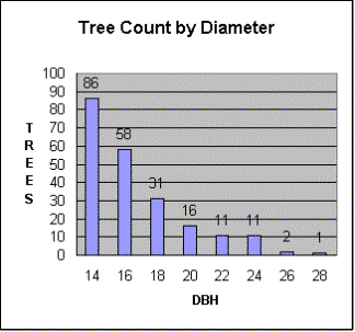 Average Height